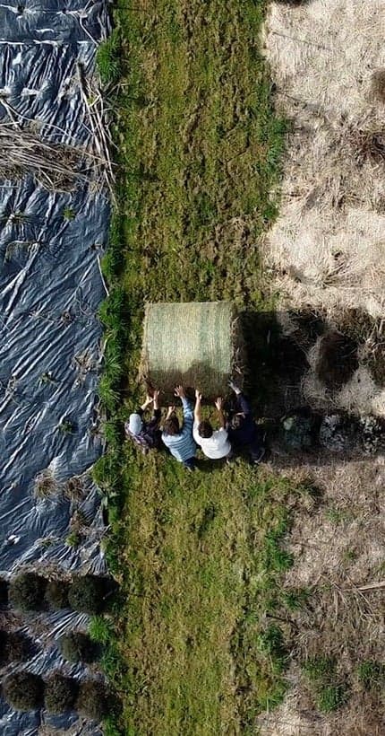 On a visité une coloc d’agriculteurs, la Ferme de la Mouvette